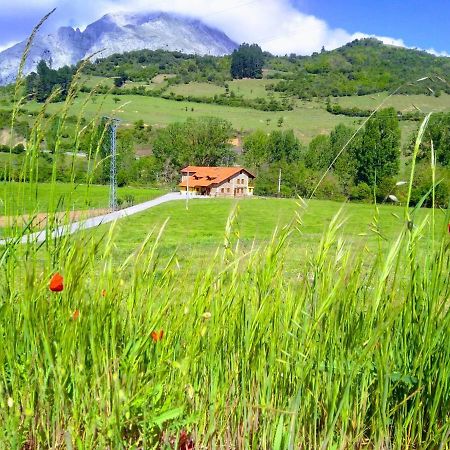 Casa Santa Leocadia Villa Tama Eksteriør bilde