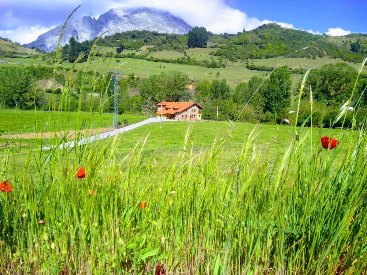 Casa Santa Leocadia Villa Tama Eksteriør bilde